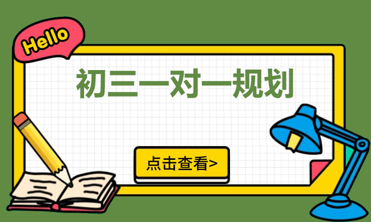 初三一对一规划